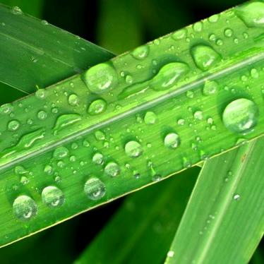 点点小雨