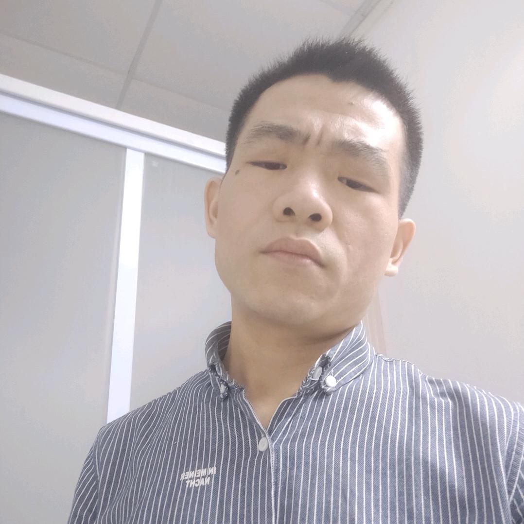 龙宝