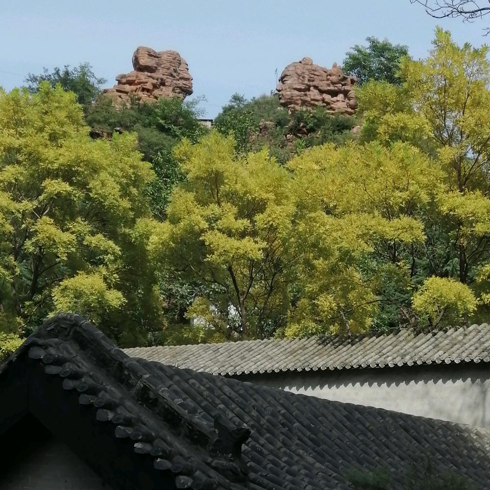 美好未来
