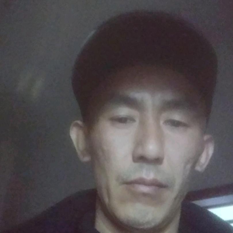 龙在飞