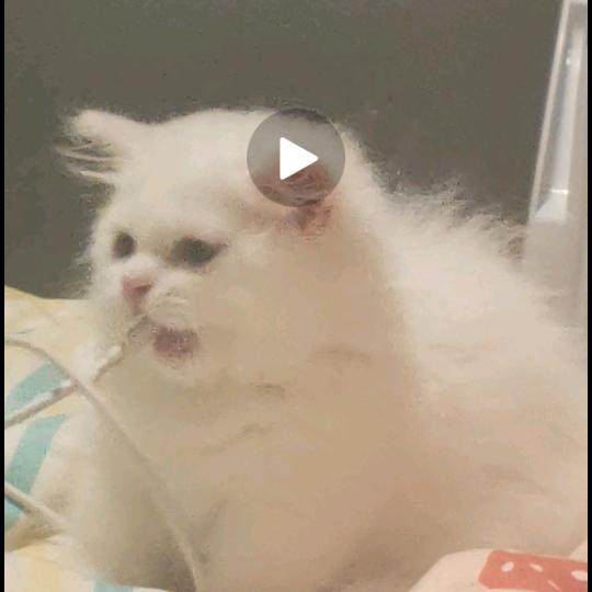 🌈工藤软软.
