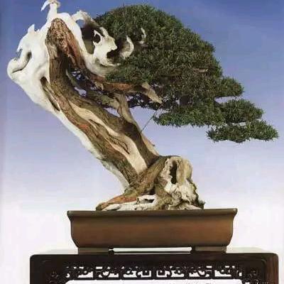 云岭记忆
