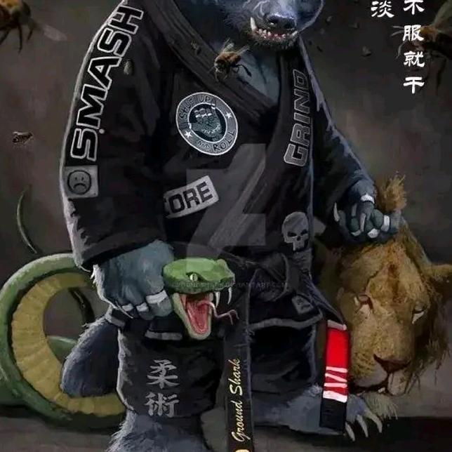 开无人机的小贤