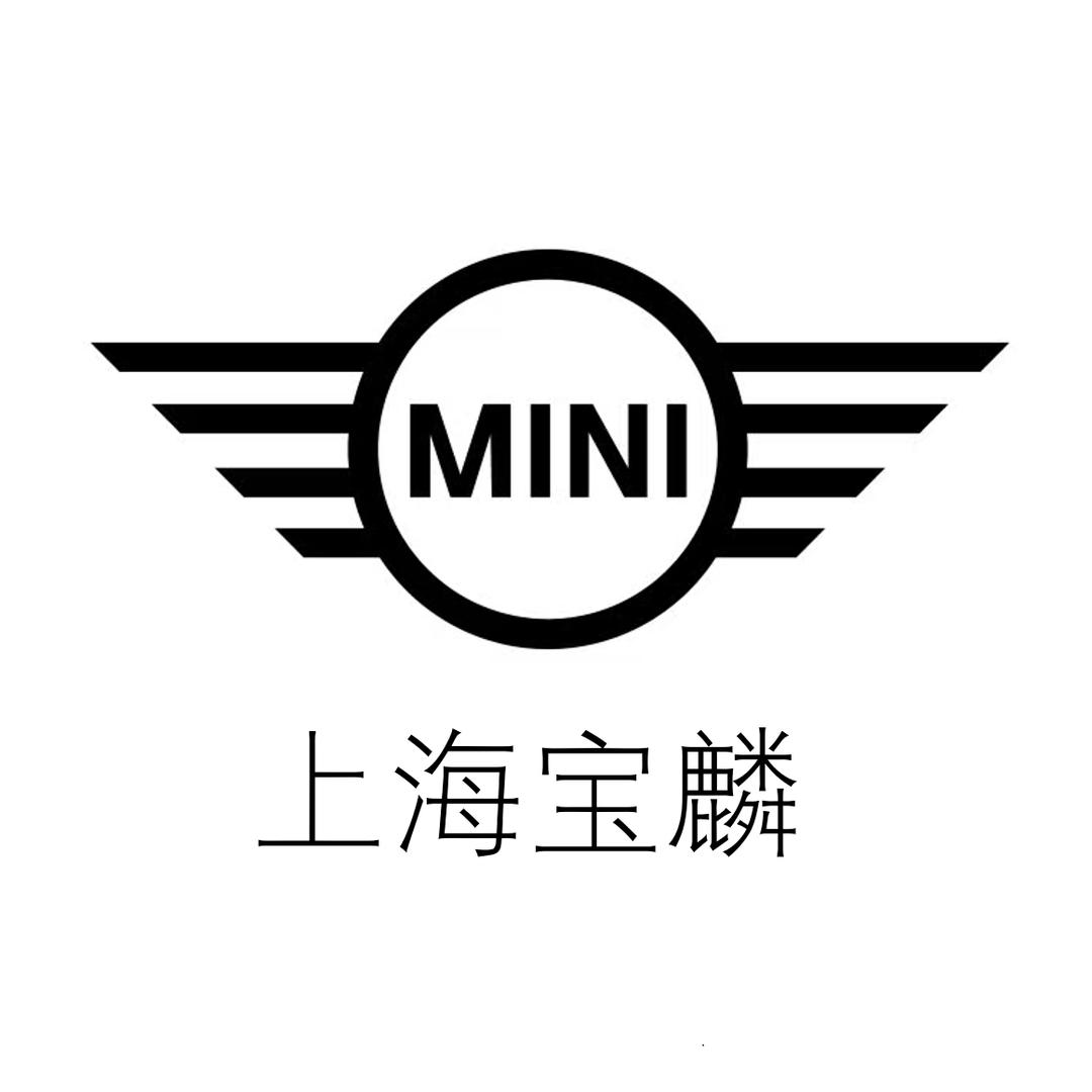 上海宝麟MINI