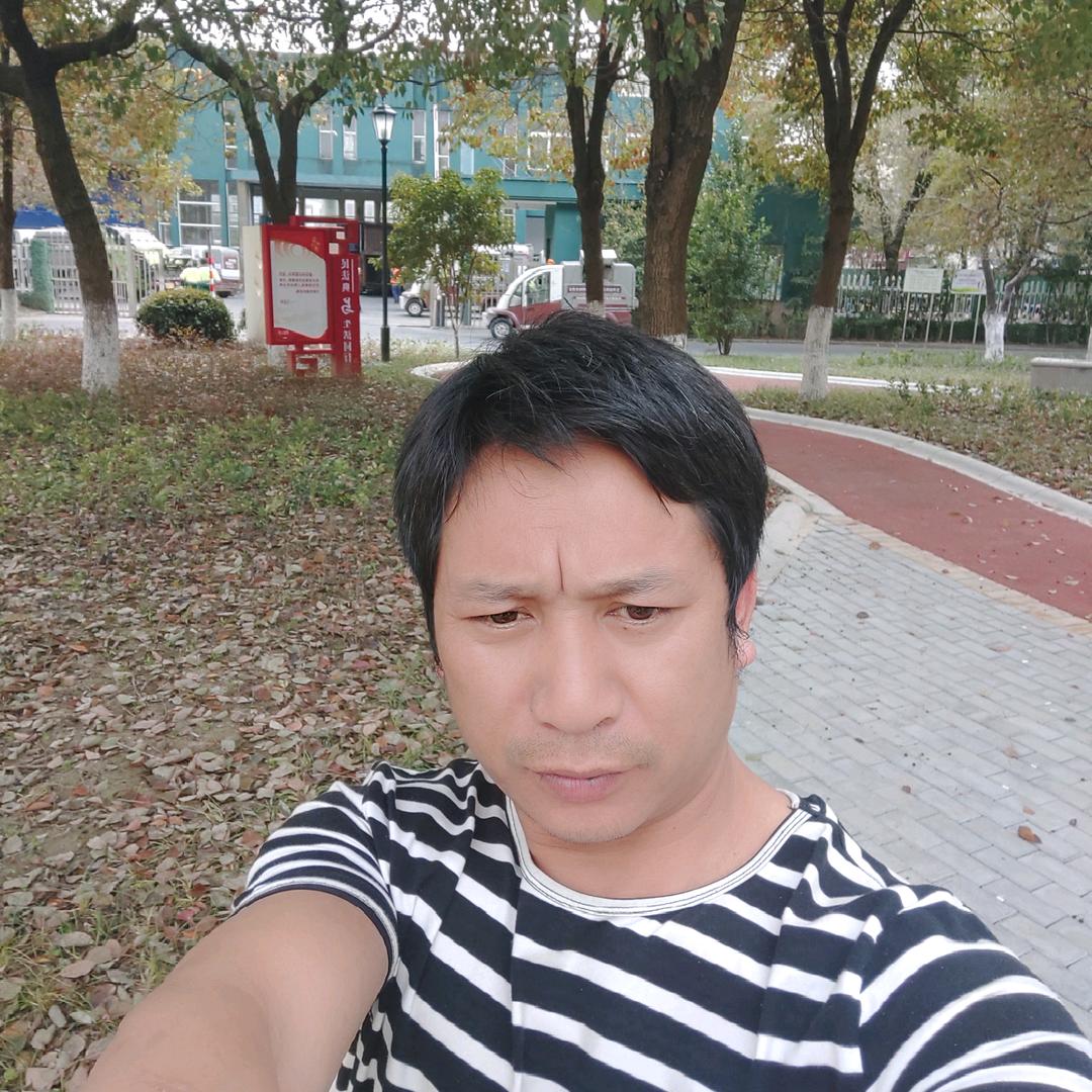 小龙歌