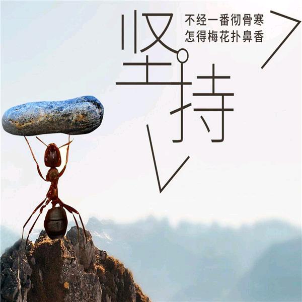 翩楞