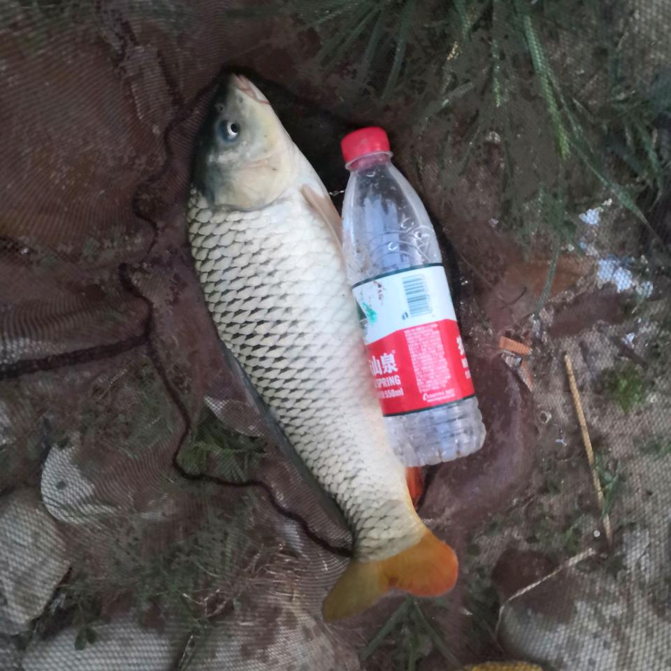 浴马丶天涯