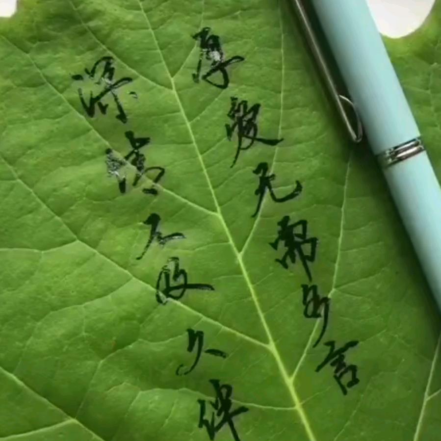 二大爷赞了你。