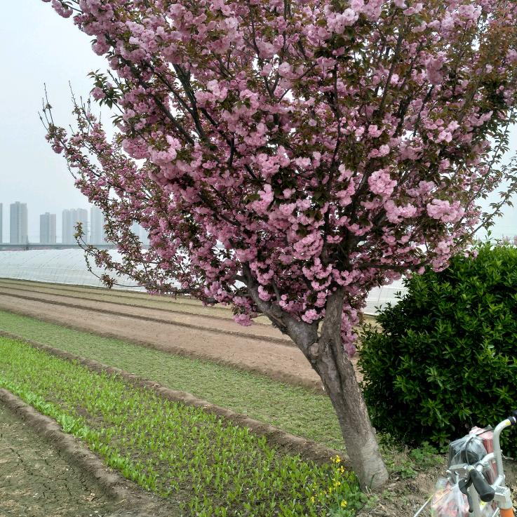 用户4770228912413红尘相伴