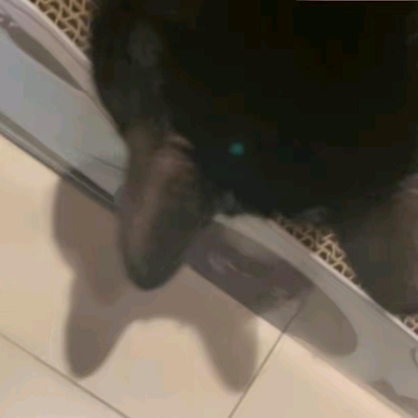 用户1933545128556
