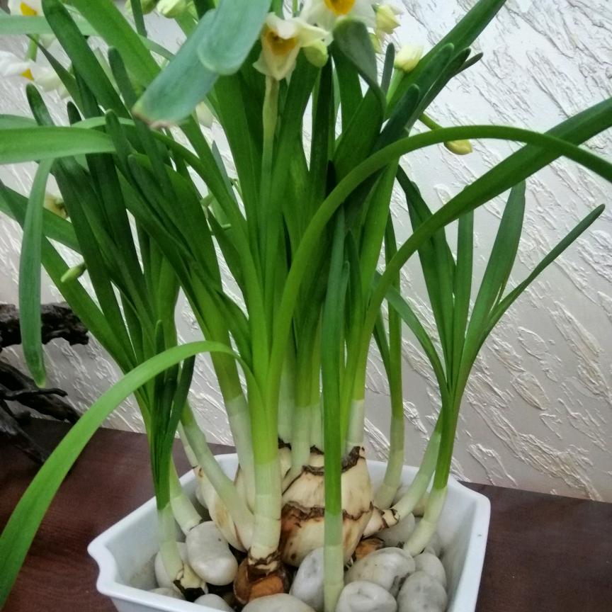 平平