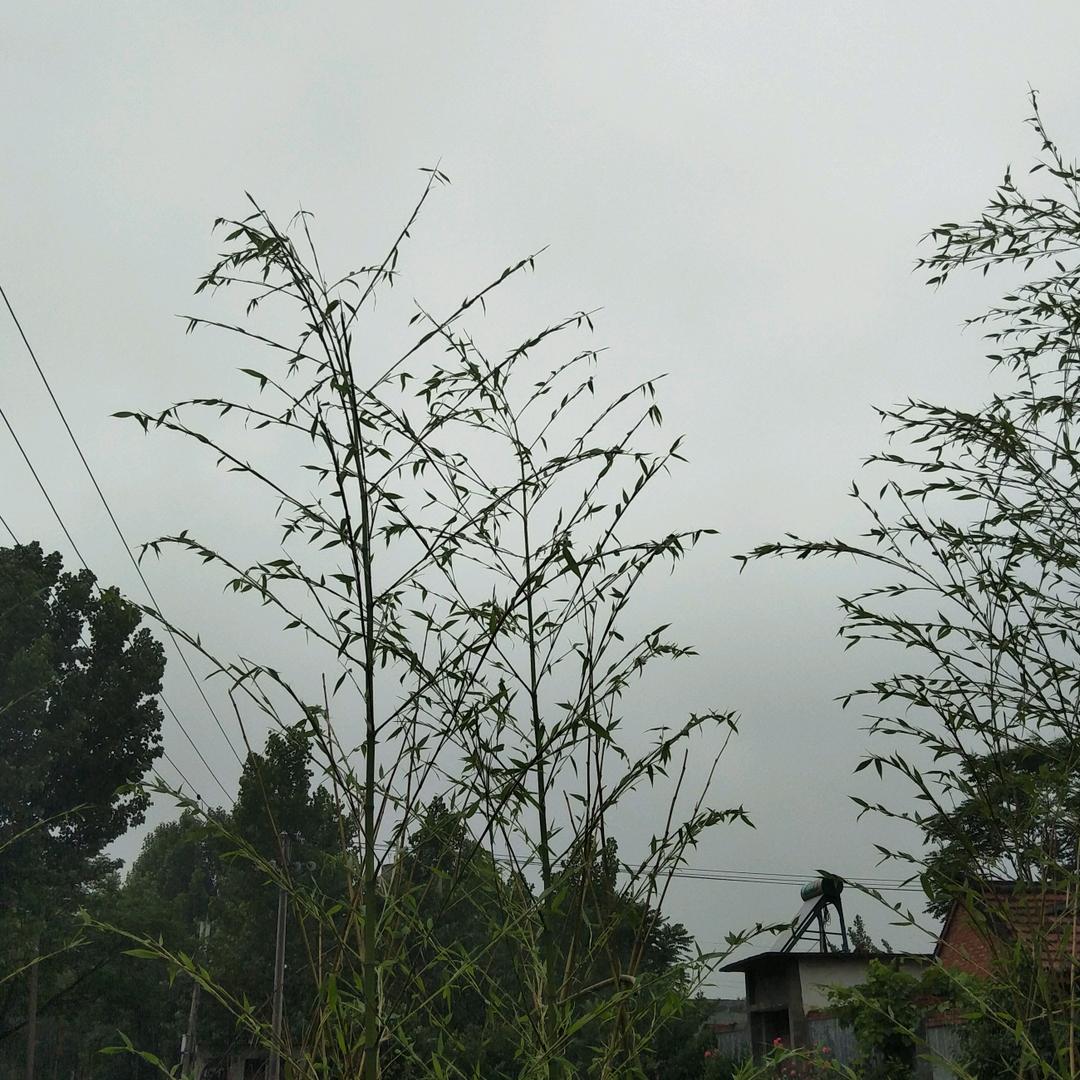 用户3150882944655