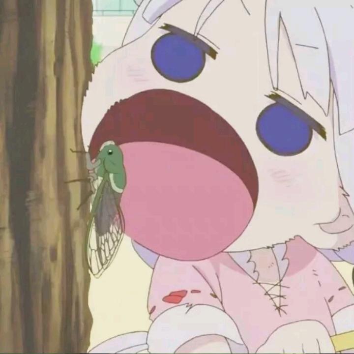 燃燃的畅