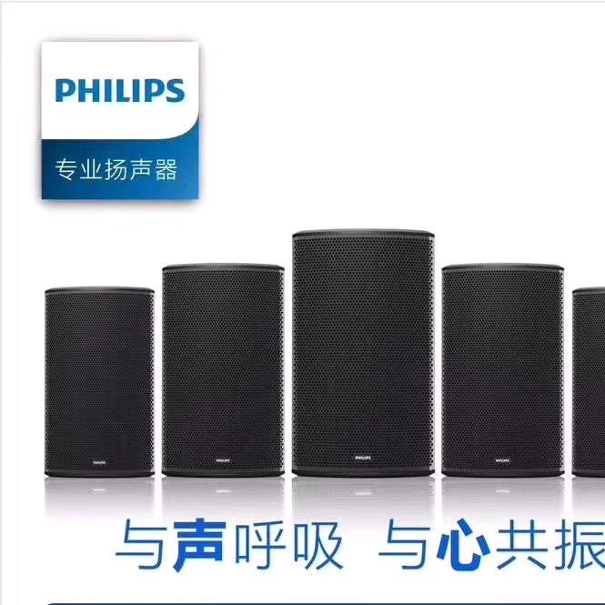 界首飞利浦专业音响