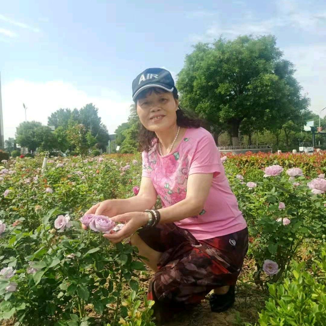 珍惜每一天贺泽霞