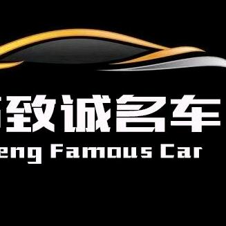 丁哥唠车—防丢专家