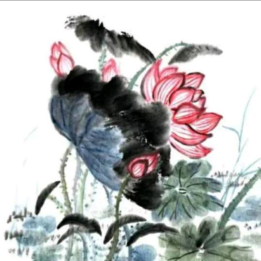 兰心鉴
