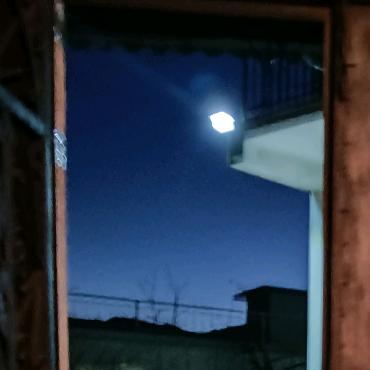 奇