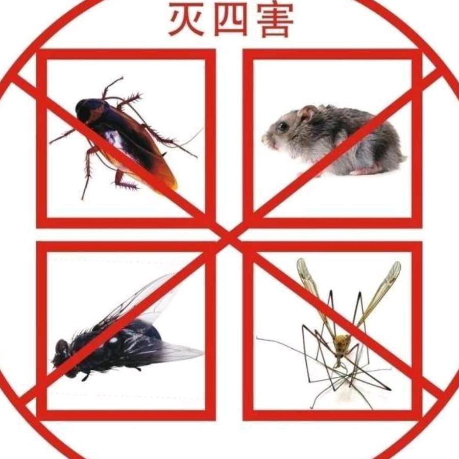 大疆生物