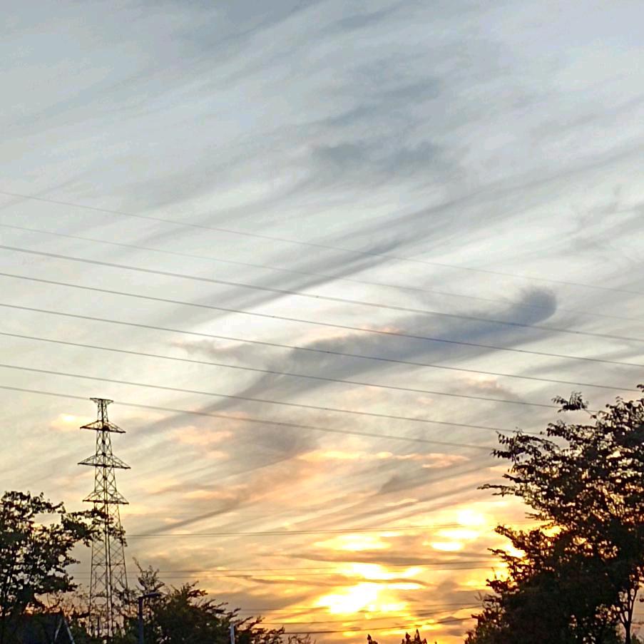 ，，，，，，，