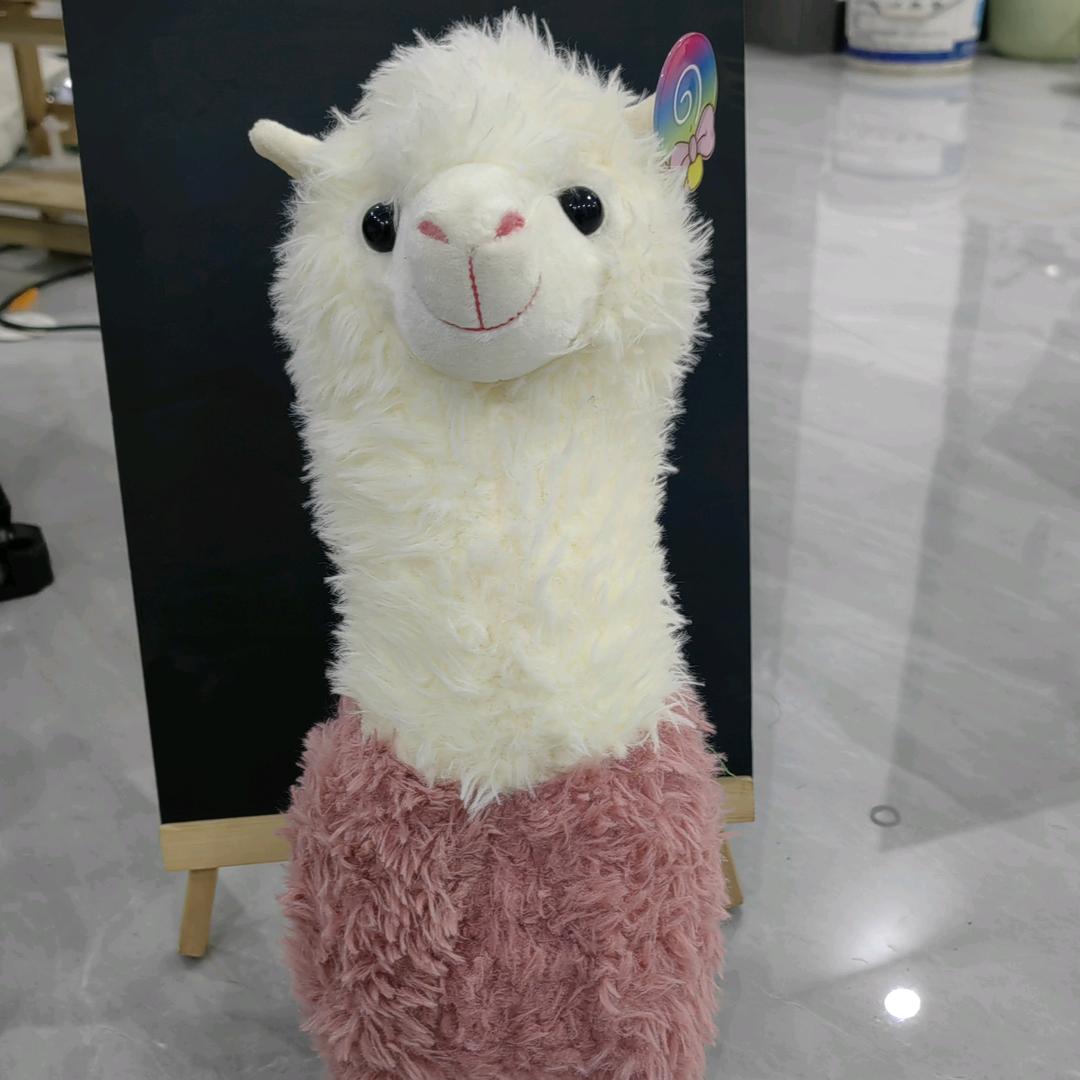 一颗焦糖味的橙子