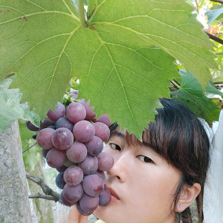 罗三妹
