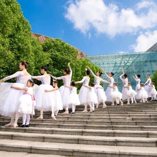 金牌舞蹈启蒙凤翔小天鹅校区