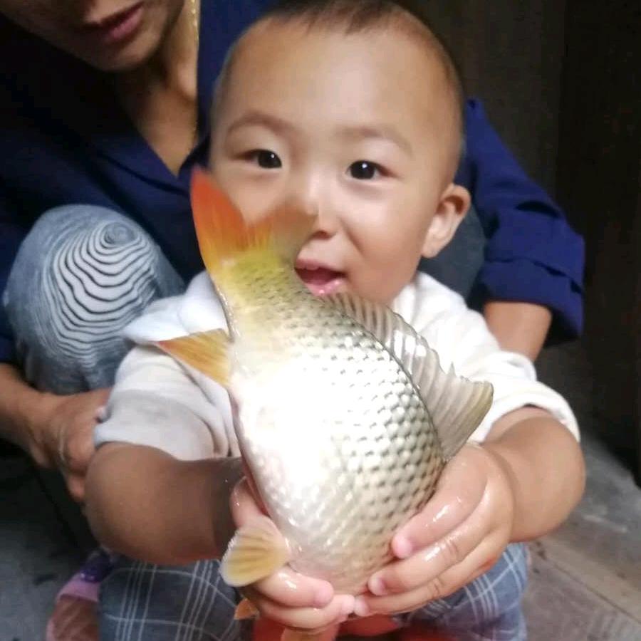 马Ｋ