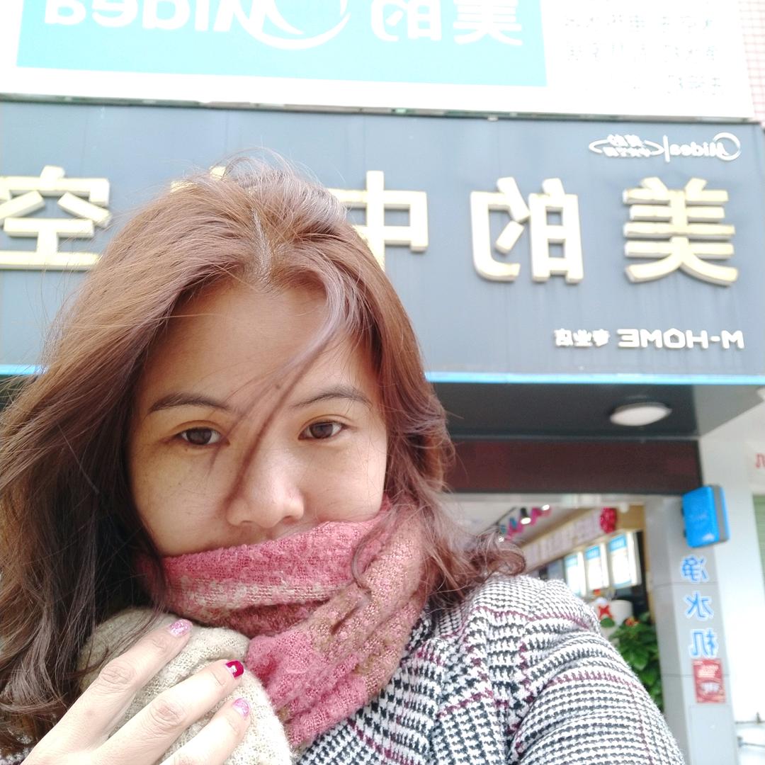 美的家用电器