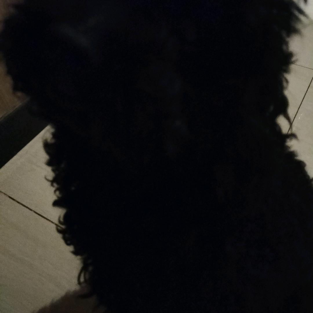 爷们浪人