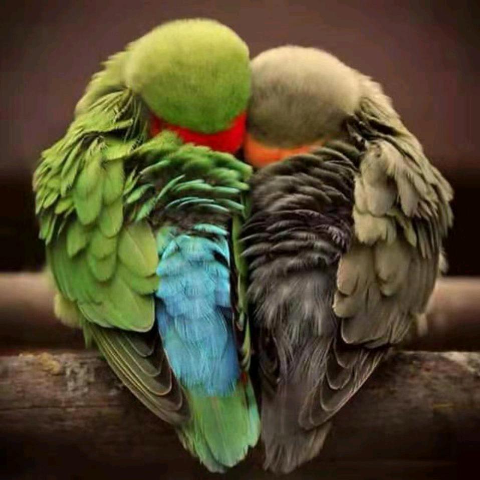 坠入凡尘的灵魂