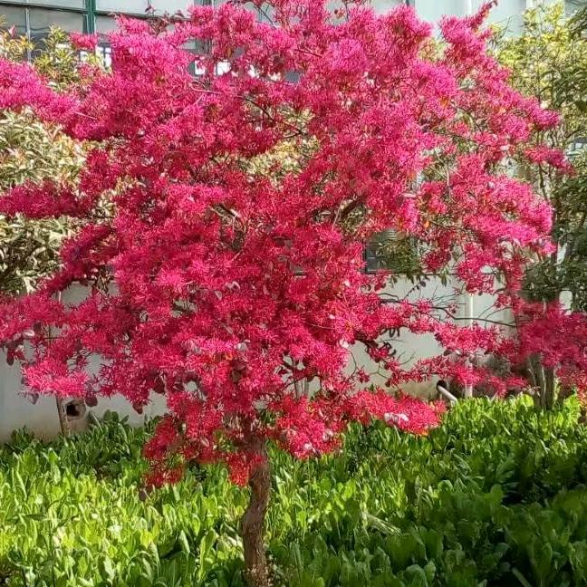 向快乐出发！，🚶🚶🏃🏃🏃