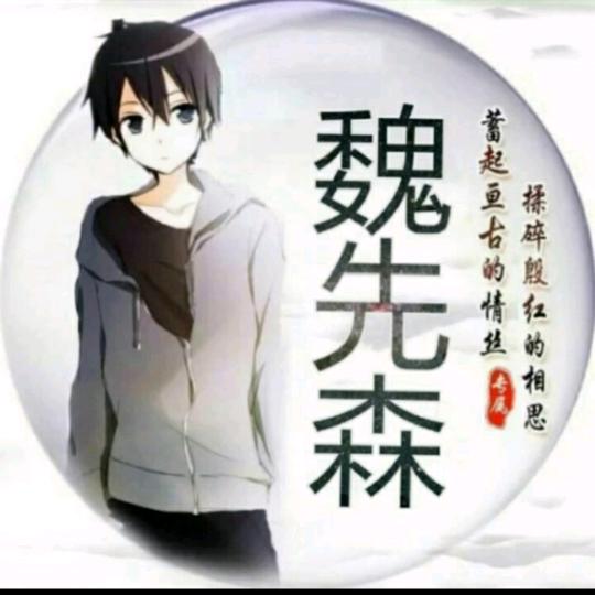 魏先森 【游戏在主页】