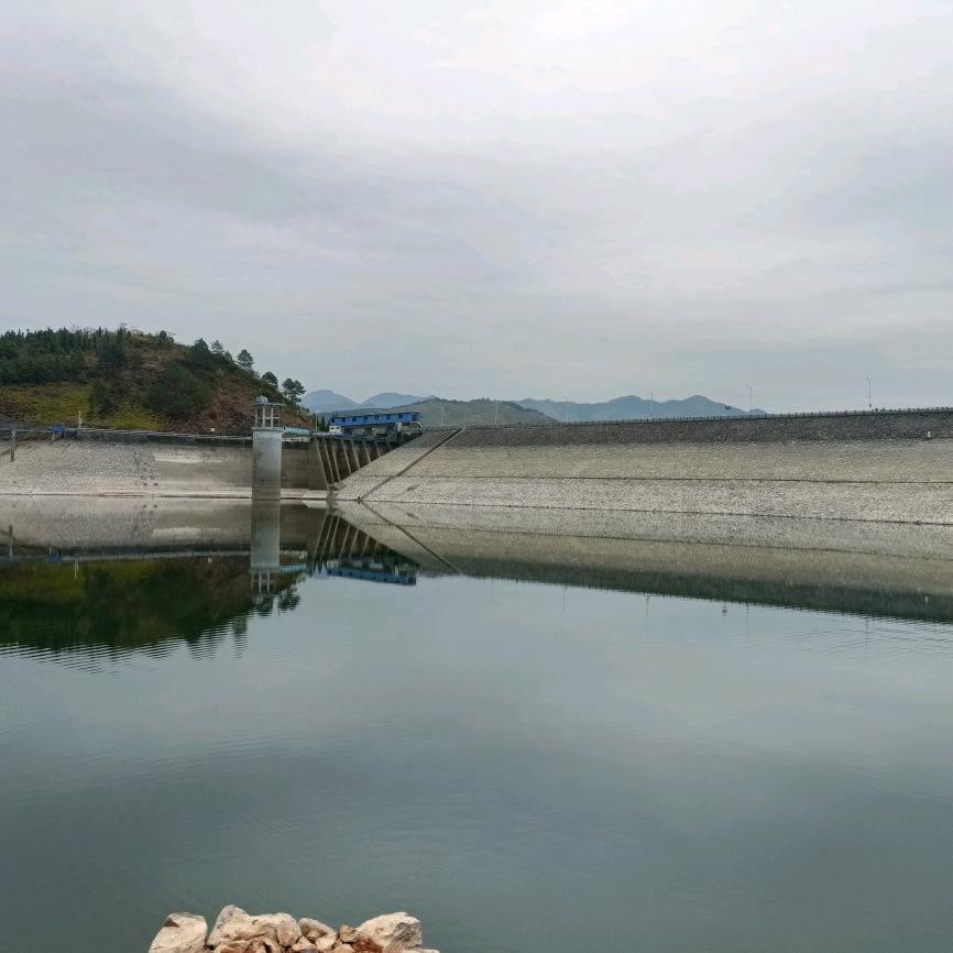 波哥(手机摄影)