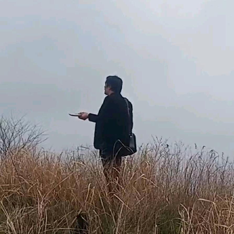 张先生。