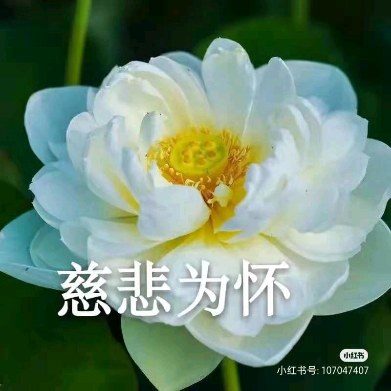 万般皆由命，不由人