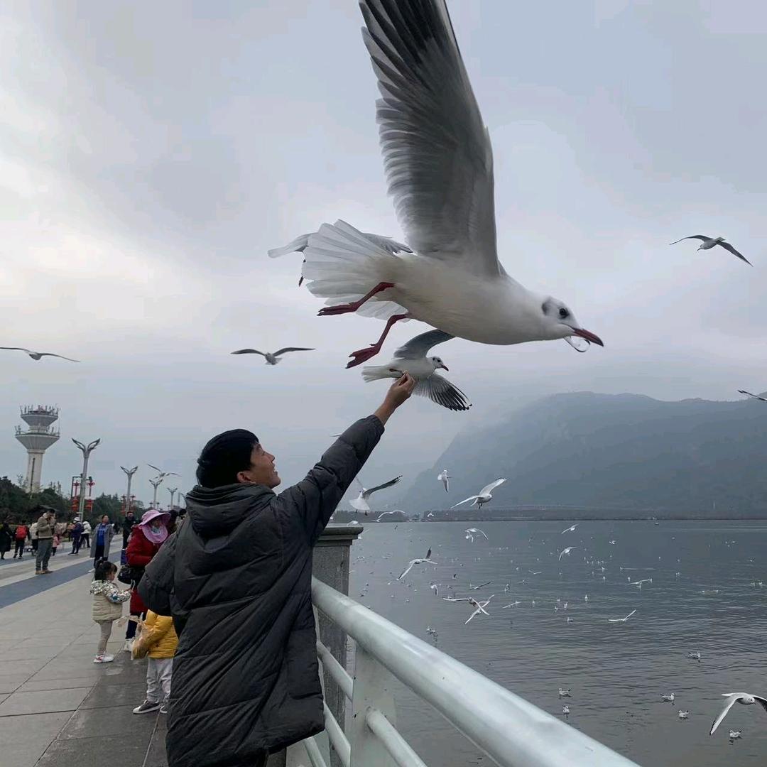 小江江.