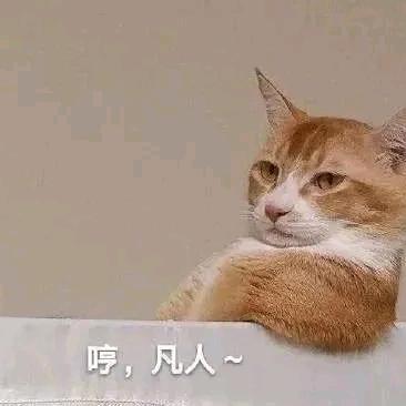 来自青青草原的哈…哈哈哈
