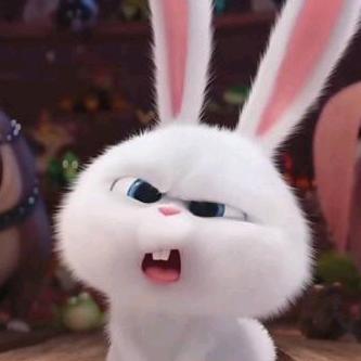 我有一只小野兔