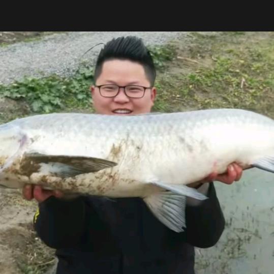 户外钓鱼人小龙哥