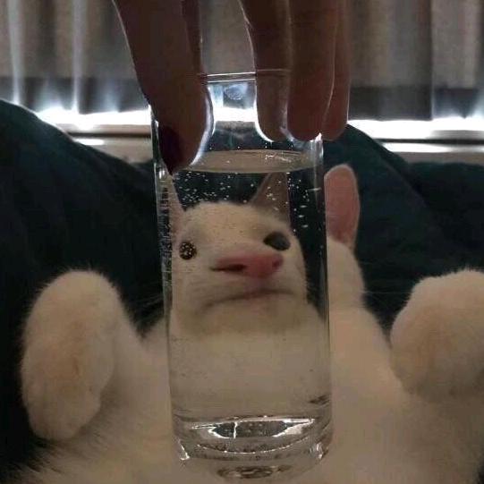 某人一直在