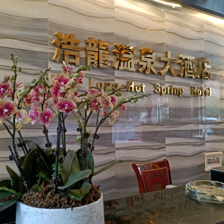 禄丰浩龙温泉大酒店