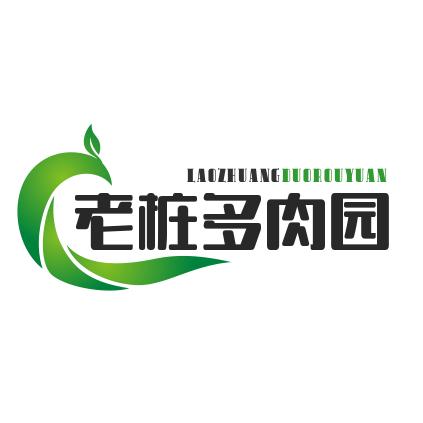 老桩多肉庄园