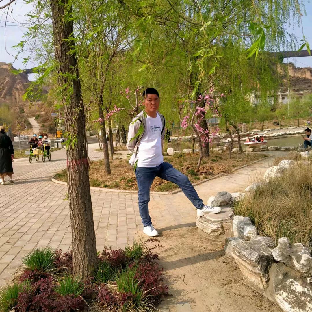 万荣小张苹果