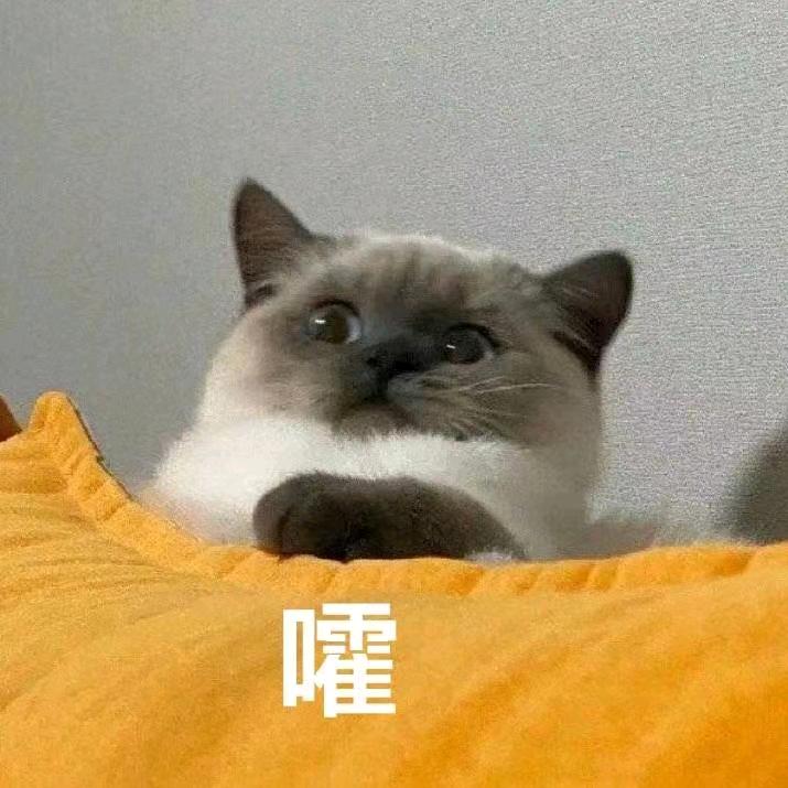 🌈🌈天呐🤶🏻🌈🌈