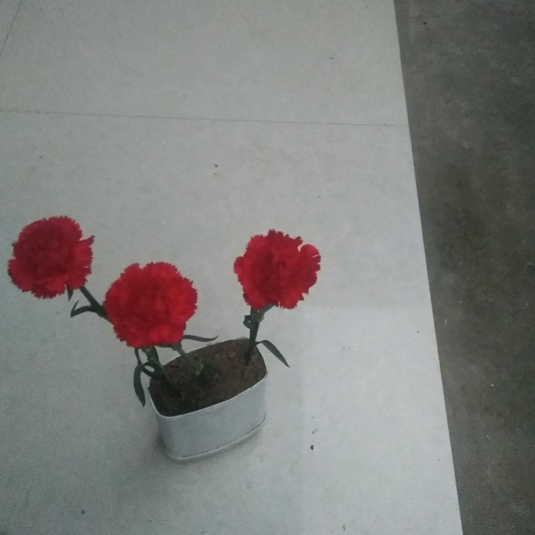 心想事成