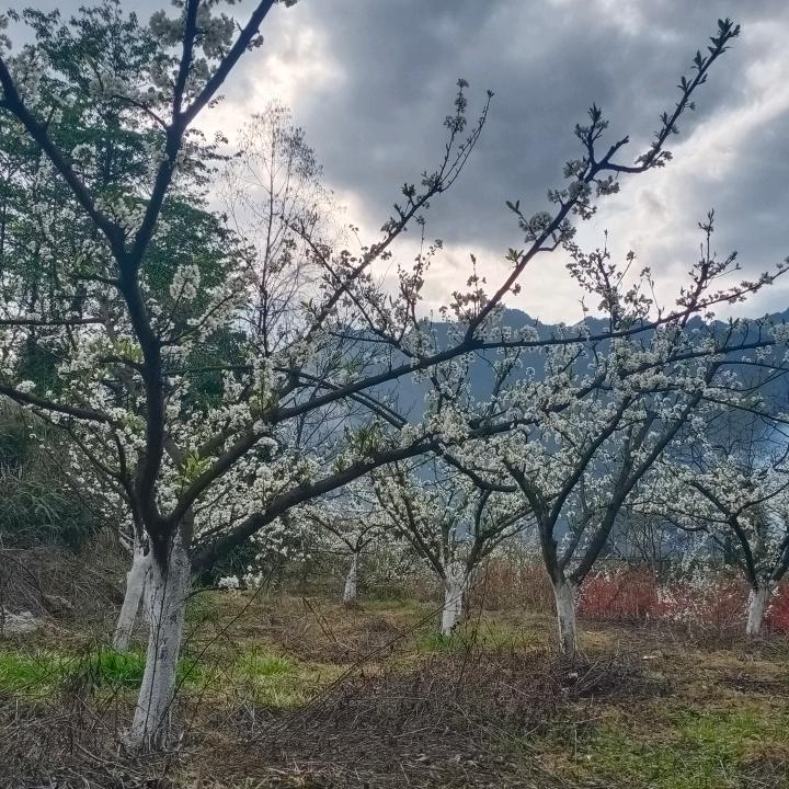生活一般