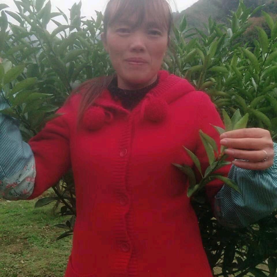 飞黄腾达
