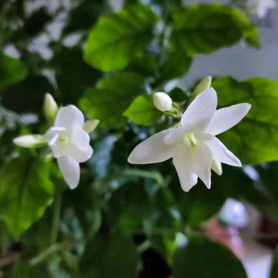 瞌睡
