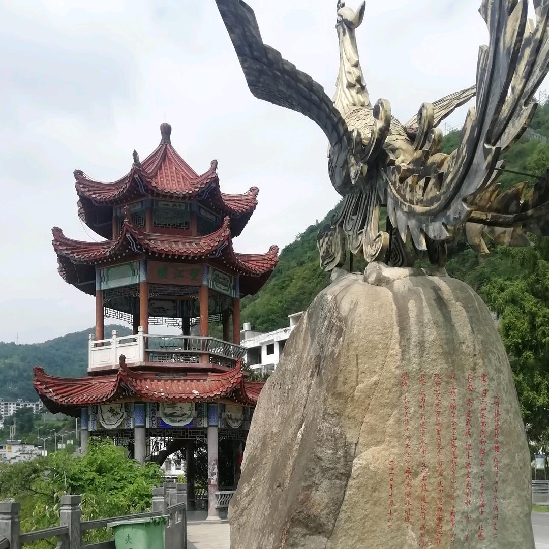 ꧁忘忧草꧂
